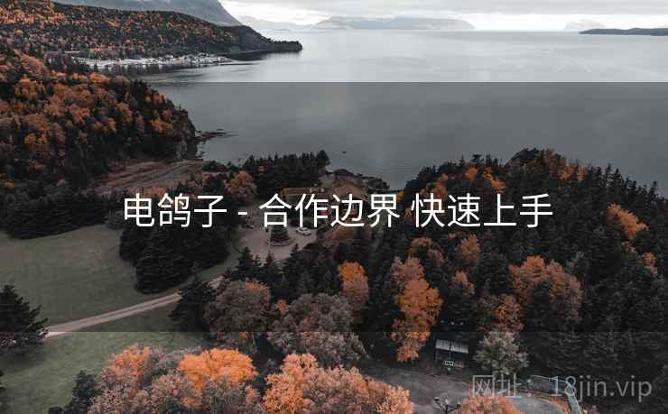 电鸽子 - 合作边界 快速上手