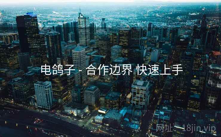 电鸽子 - 合作边界 快速上手