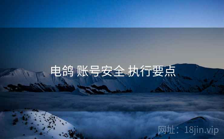 电鸽 账号安全 执行要点