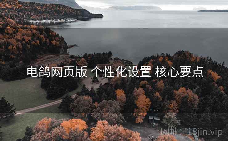 电鸽网页版 个性化设置 核心要点