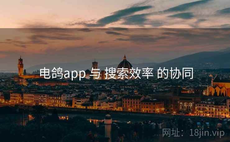 电鸽app 与 搜索效率 的协同
