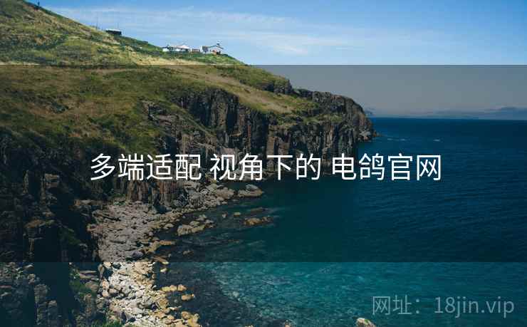 多端适配 视角下的 电鸽官网