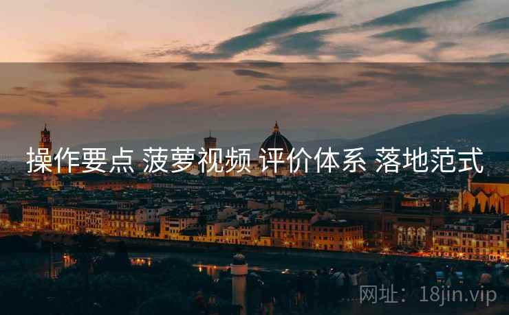 操作要点 菠萝视频 评价体系 落地范式