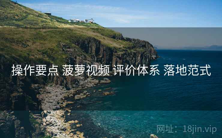 操作要点 菠萝视频 评价体系 落地范式