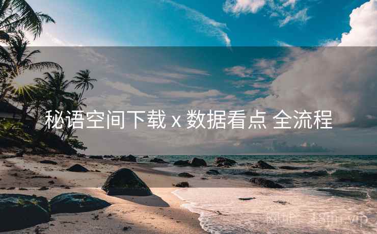 秘语空间下载 x 数据看点 全流程