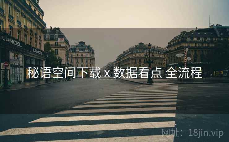秘语空间下载 x 数据看点 全流程