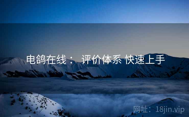 电鸽在线 ： 评价体系 快速上手