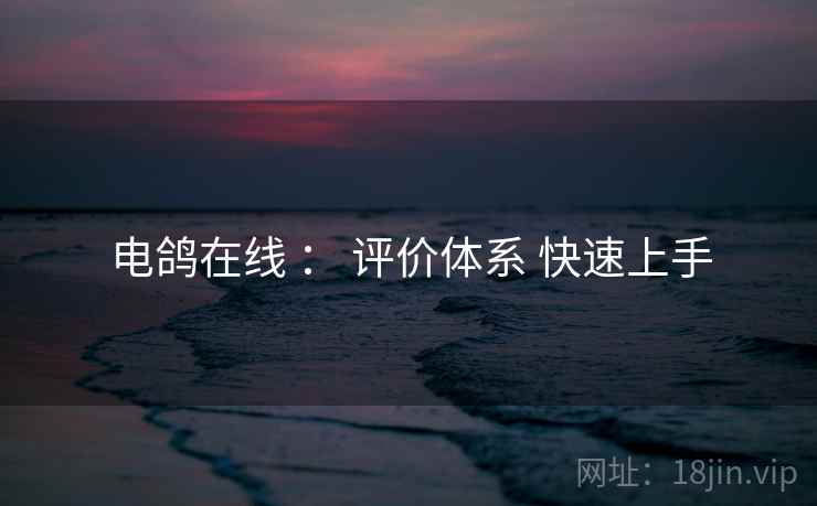 电鸽在线 ： 评价体系 快速上手