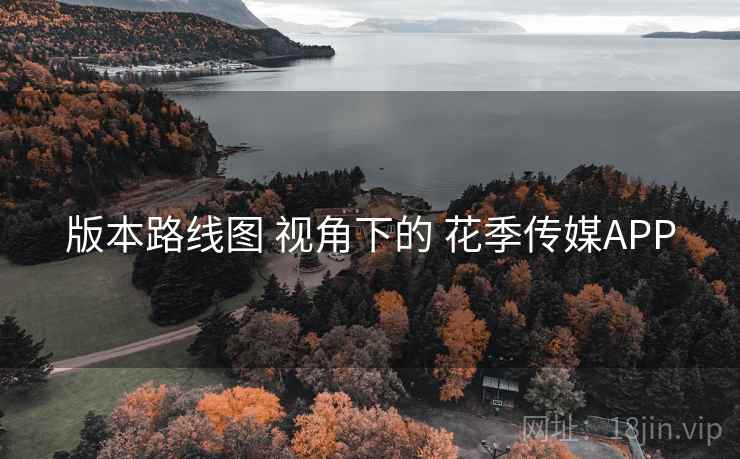 版本路线图 视角下的 花季传媒APP
