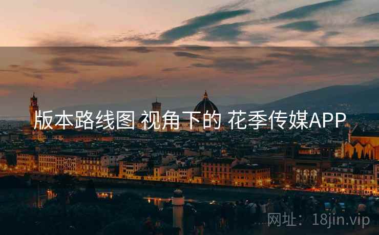 版本路线图 视角下的 花季传媒APP