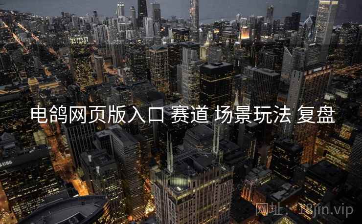 电鸽网页版入口 赛道 场景玩法 复盘