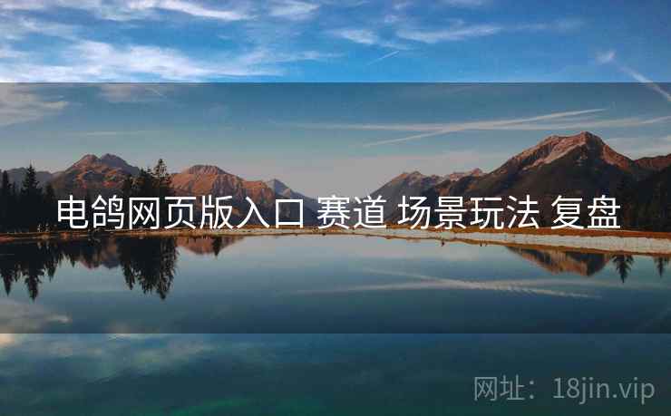电鸽网页版入口 赛道 场景玩法 复盘