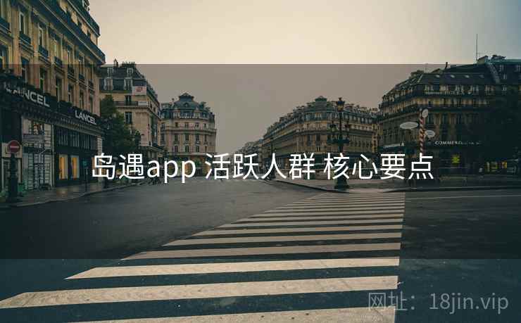 岛遇app 活跃人群 核心要点