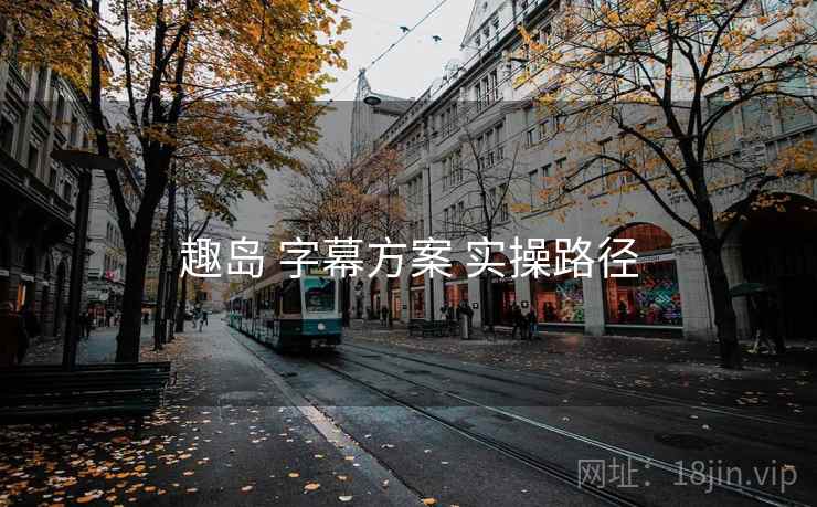 趣岛 字幕方案 实操路径