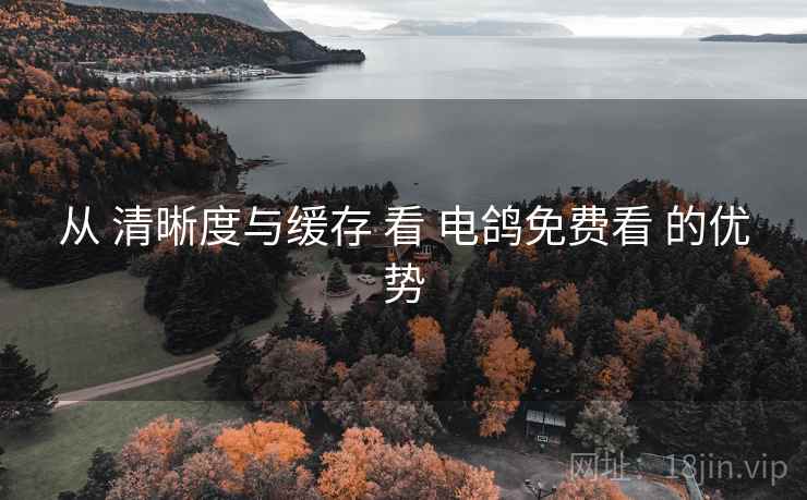 从 清晰度与缓存 看 电鸽免费看 的优势