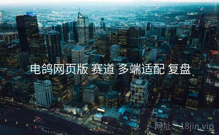 电鸽网页版 赛道 多端适配 复盘