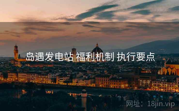 岛遇发电站 福利机制 执行要点