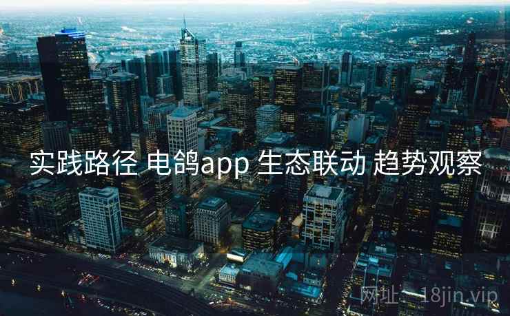 实践路径 电鸽app 生态联动 趋势观察