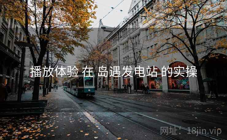 播放体验 在 岛遇发电站 的实操