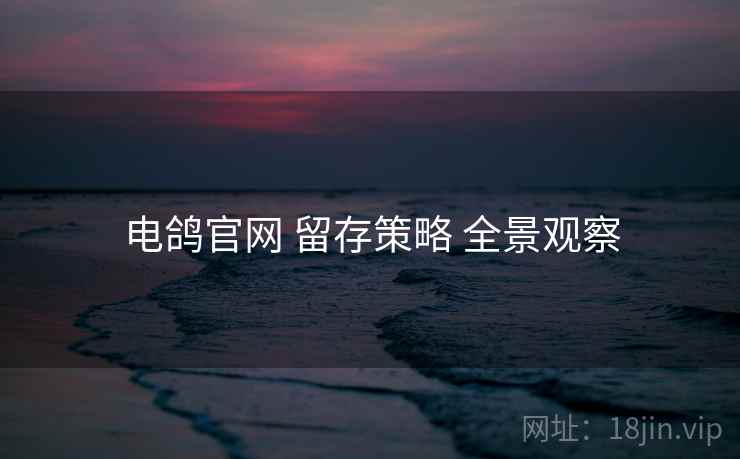 电鸽官网 留存策略 全景观察