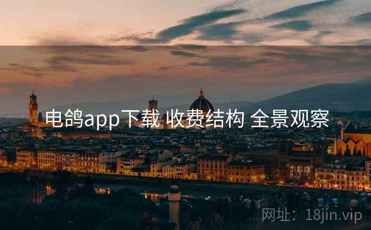 电鸽app下载 收费结构 全景观察