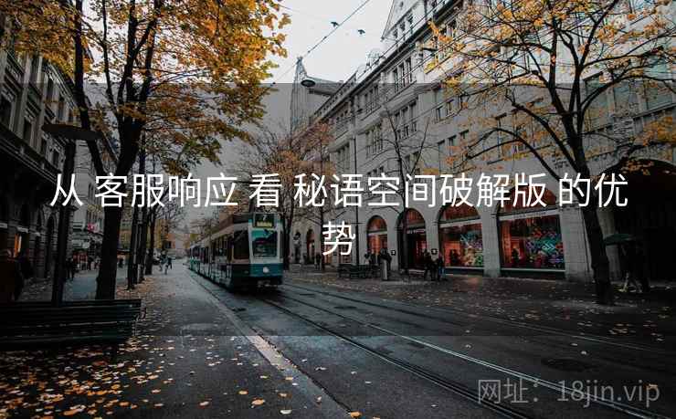 从 客服响应 看 秘语空间破解版 的优势