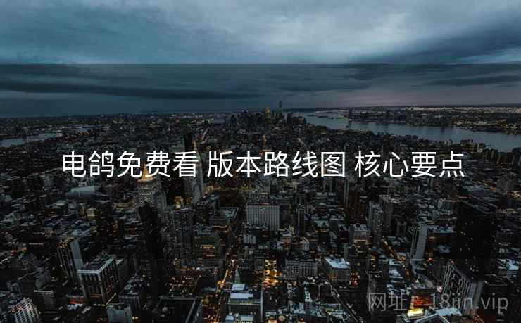 电鸽免费看 版本路线图 核心要点