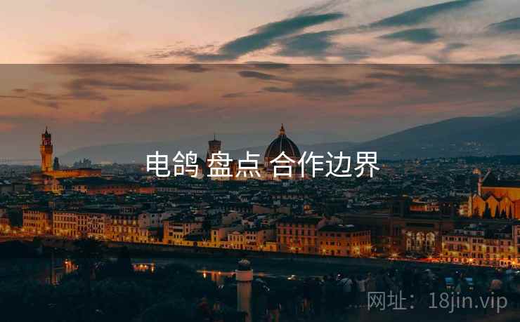 电鸽 盘点 合作边界