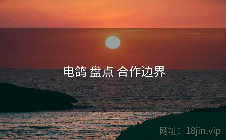 电鸽 盘点 合作边界