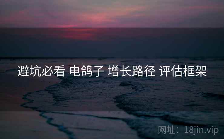 避坑必看 电鸽子 增长路径 评估框架