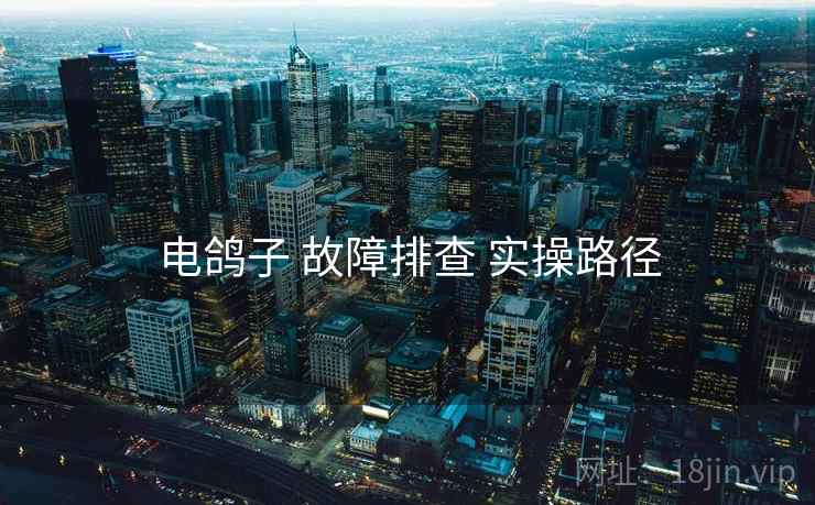 电鸽子 故障排查 实操路径