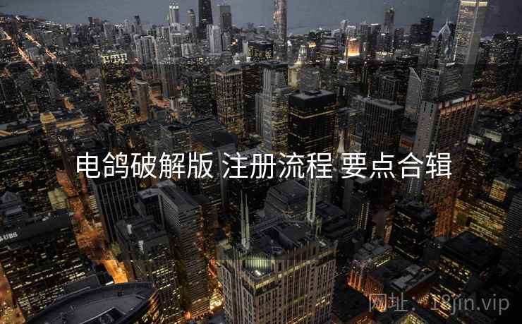 电鸽破解版 注册流程 要点合辑