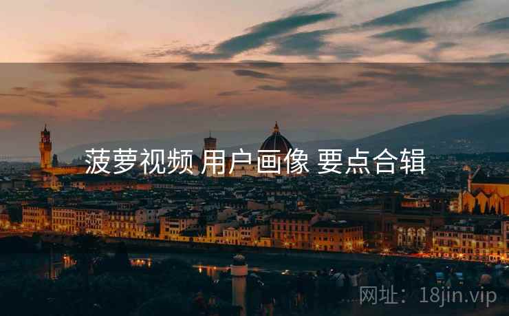菠萝视频 用户画像 要点合辑