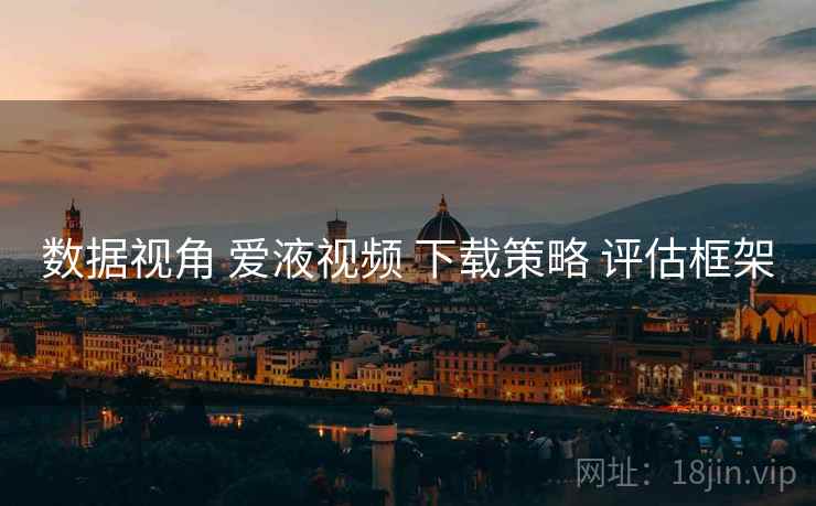 数据视角 爱液视频 下载策略 评估框架