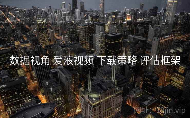 数据视角 爱液视频 下载策略 评估框架