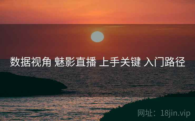 数据视角 魅影直播 上手关键 入门路径