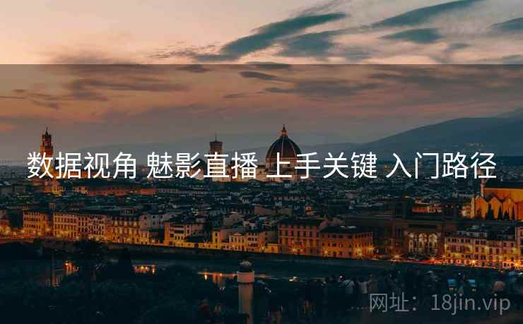 数据视角 魅影直播 上手关键 入门路径