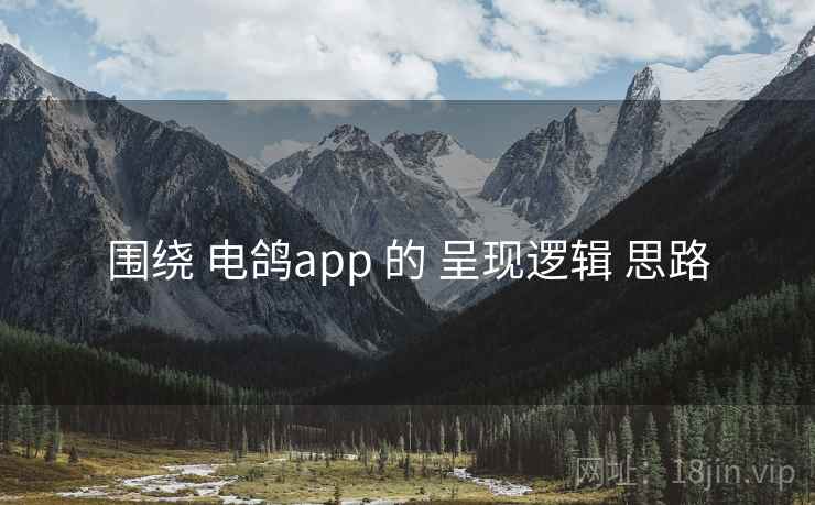 围绕 电鸽app 的 呈现逻辑 思路