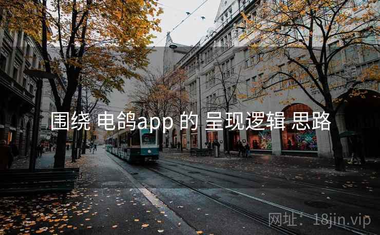 围绕 电鸽app 的 呈现逻辑 思路