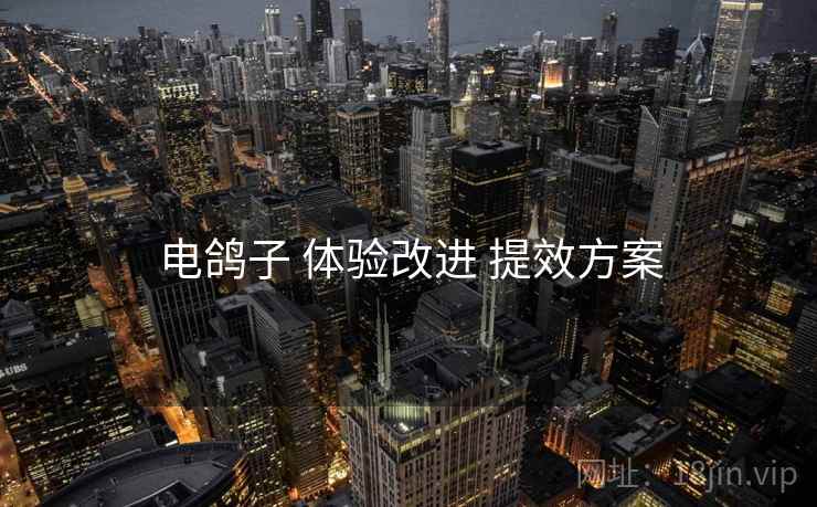 电鸽子 体验改进 提效方案