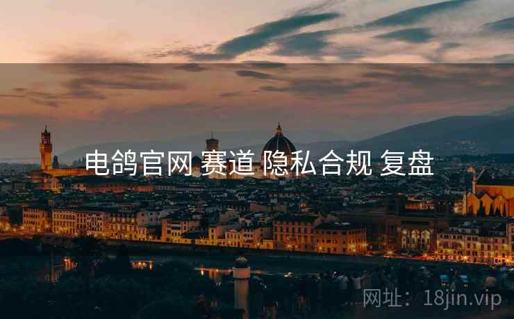 电鸽官网 赛道 隐私合规 复盘