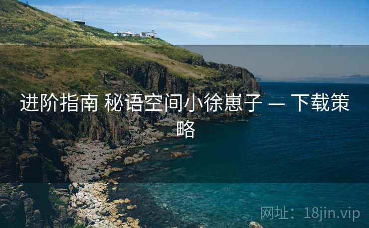 进阶指南 秘语空间小徐崽子 — 下载策略