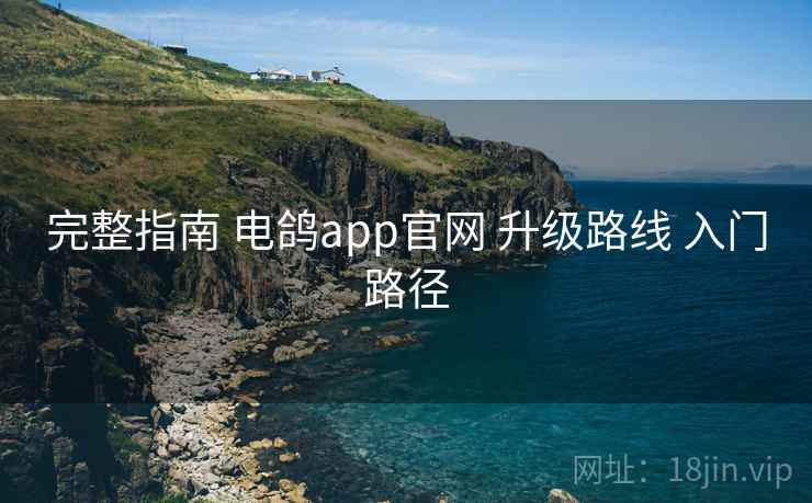 完整指南 电鸽app官网 升级路线 入门路径