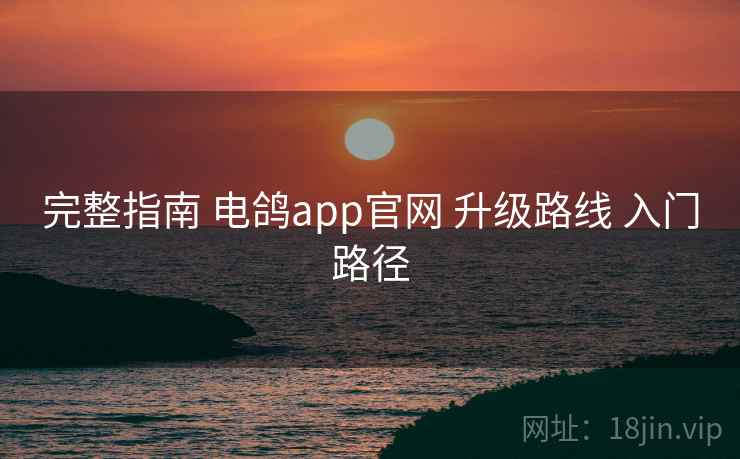 完整指南 电鸽app官网 升级路线 入门路径